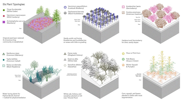 Diagrams: Six plant typologies